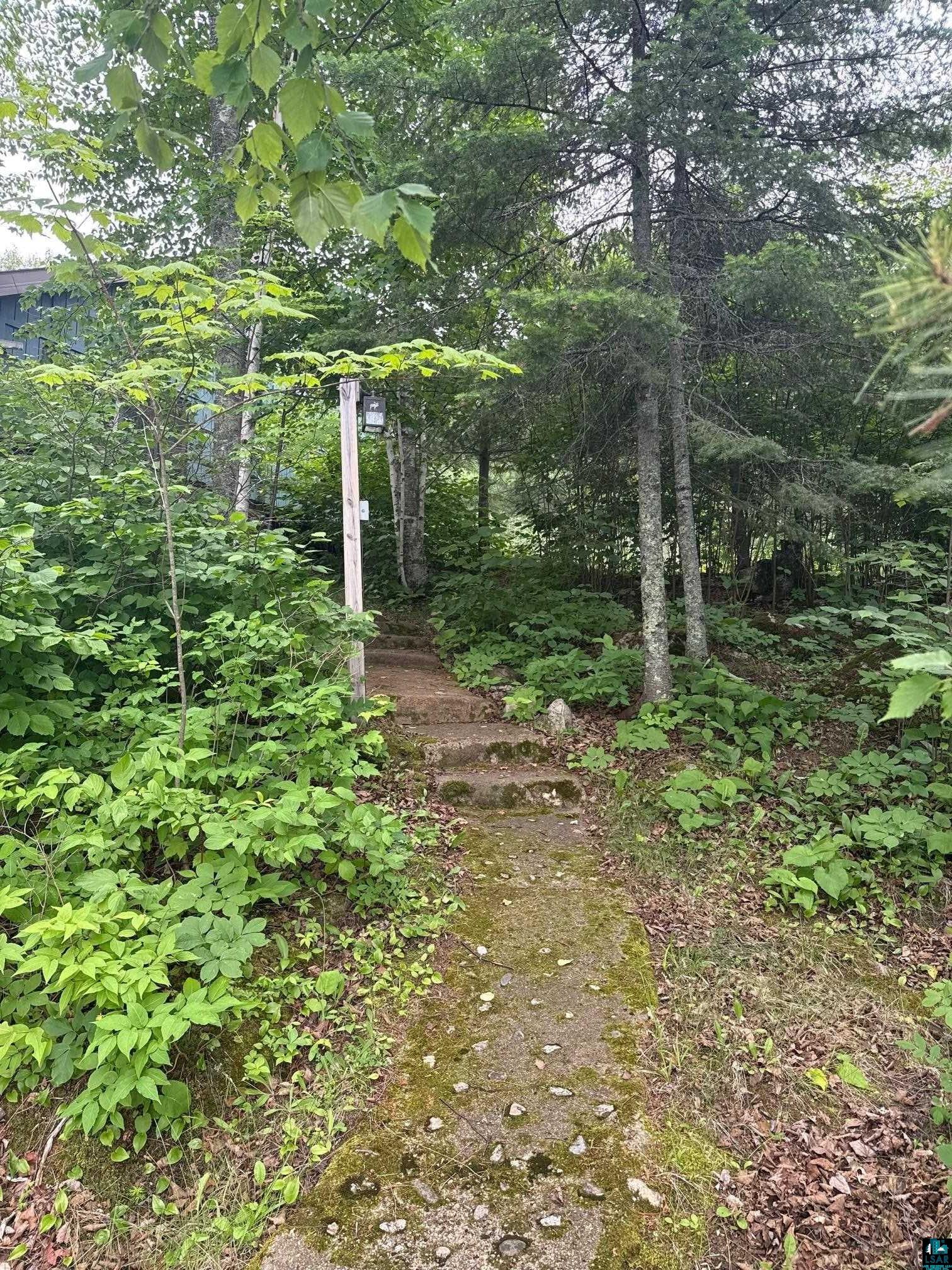 8141 Muskego Point Orr, MN 55771 - Photo 32 of 48 Walk to Cabin