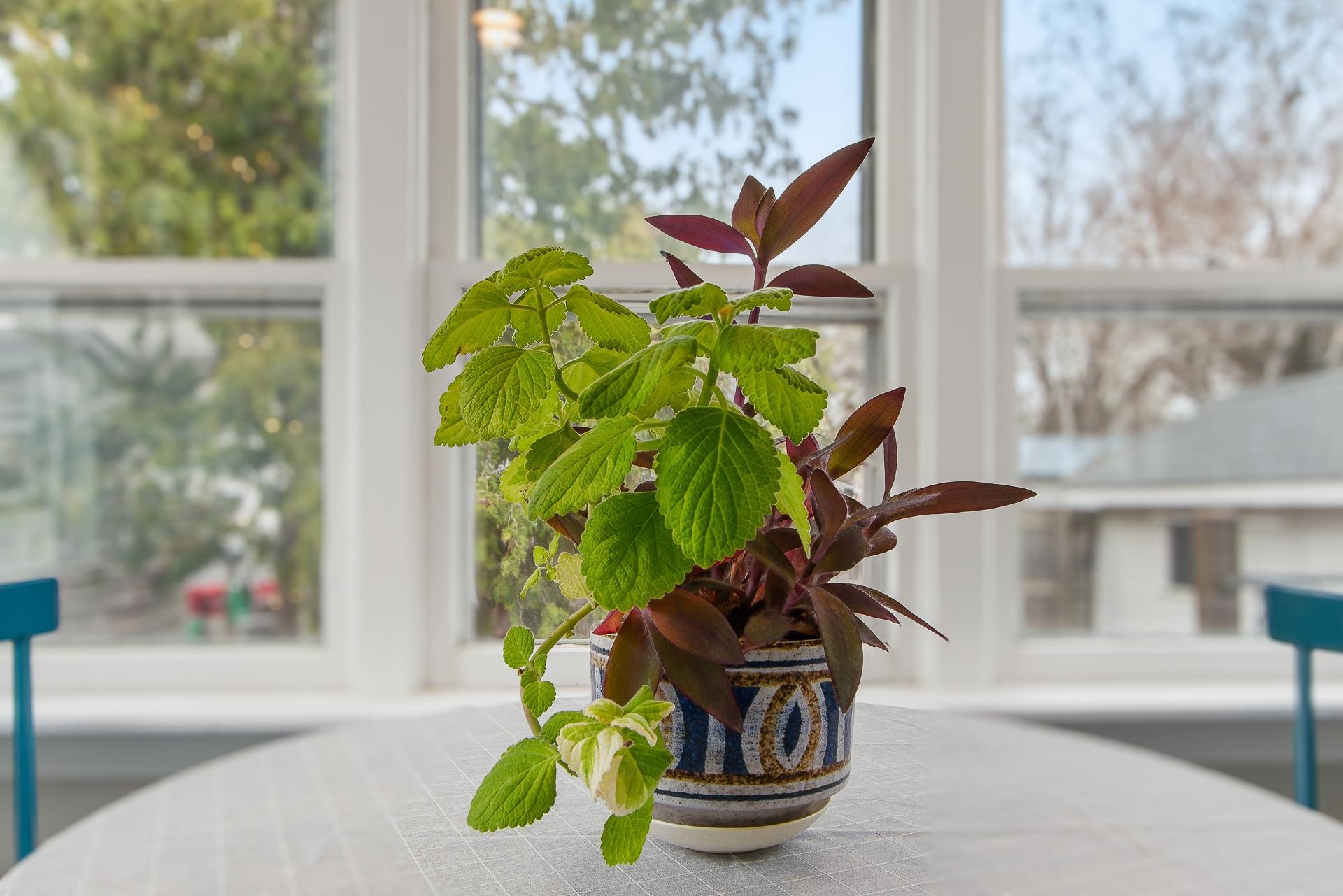 44 Corry Street Madison, WI 53704 - Photo 67 of 75