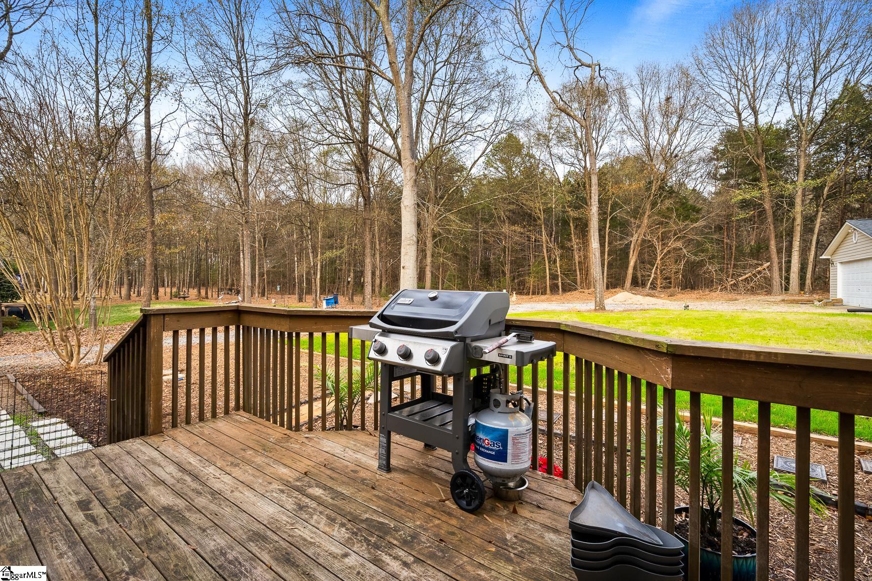 202 Crossington Way Fountain Inn, SC 29644 - Photo 31 of 35 Gallery Image 31