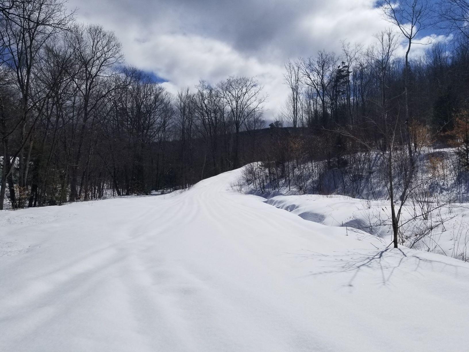 0 Rangeley Road Avon, ME 04966 - Photo 25 of 62 Access road near Route 4