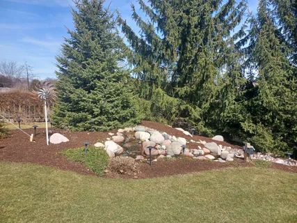 a view of a yard