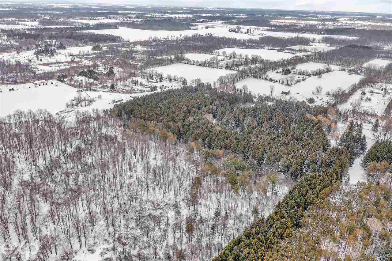 3951 Jones Road North Branch, MI 48461 - Photo 10 of 45