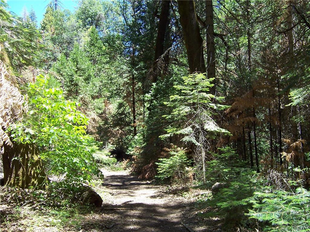 0 Best Road Mariposa, CA 95338 - Photo 1 of 1 Gallery Image 1