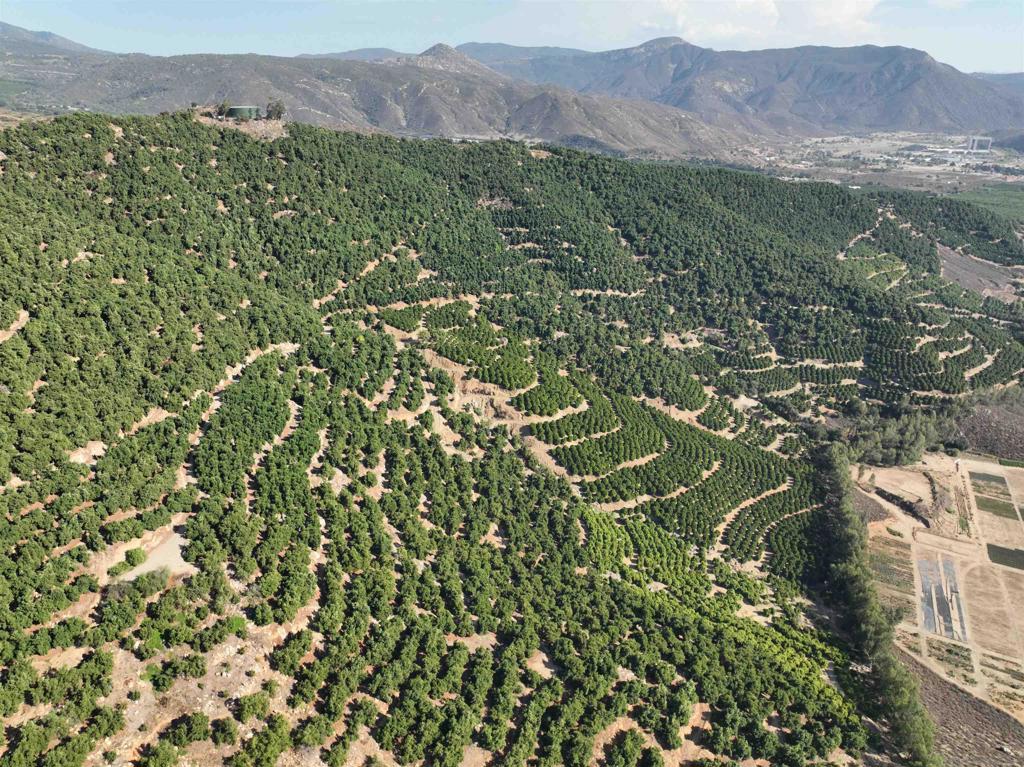 32375 Sams Mountain Road Pauma Valley, CA 92061 - Photo 2 of 10 a view of a lush green hillside and a mountain