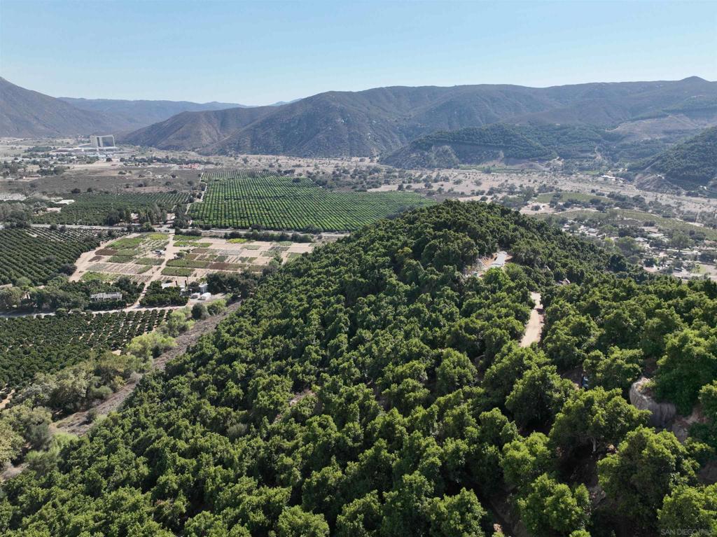 32375 Sams Mountain Road Pauma Valley, CA 92061 - Photo 3 of 10 a view of a lush green hillside and houses