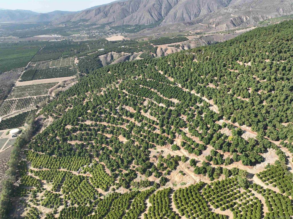 32375 Sams Mountain Road Pauma Valley, CA 92061 - Photo 5 of 10 a view of a garden