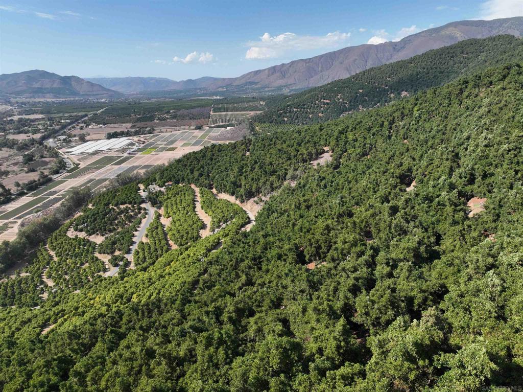 32375 Sams Mountain Road Pauma Valley, CA 92061 - Photo 7 of 10 a view of a lush green hillside and a building