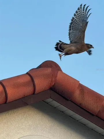 $418,500 | 4054 Caddie Drive East, Bradenton, FL 34203