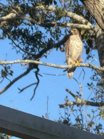 $418,500 | 4054 Caddie Drive East, Bradenton, FL 34203