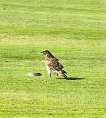 $418,500 | 4054 Caddie Drive East, Bradenton, FL 34203