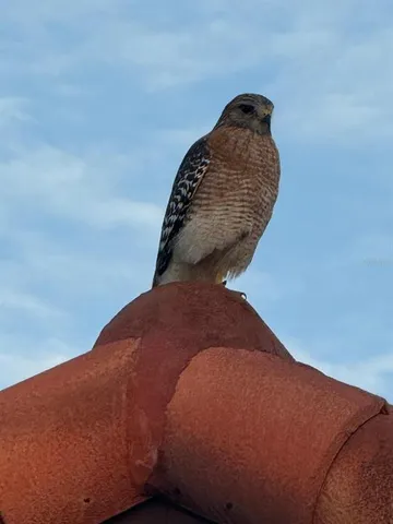 $418,500 | 4054 Caddie Drive East, Bradenton, FL 34203