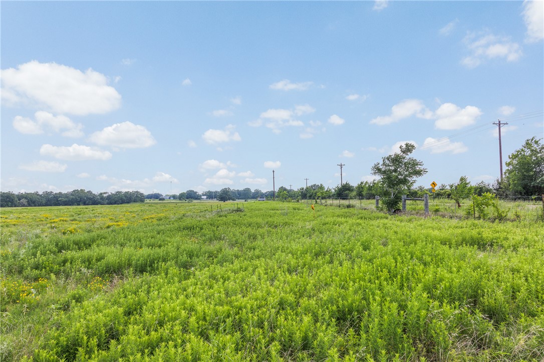 0 Hopes Creek Road College Station, TX 77845 - Photo 17 of 24
