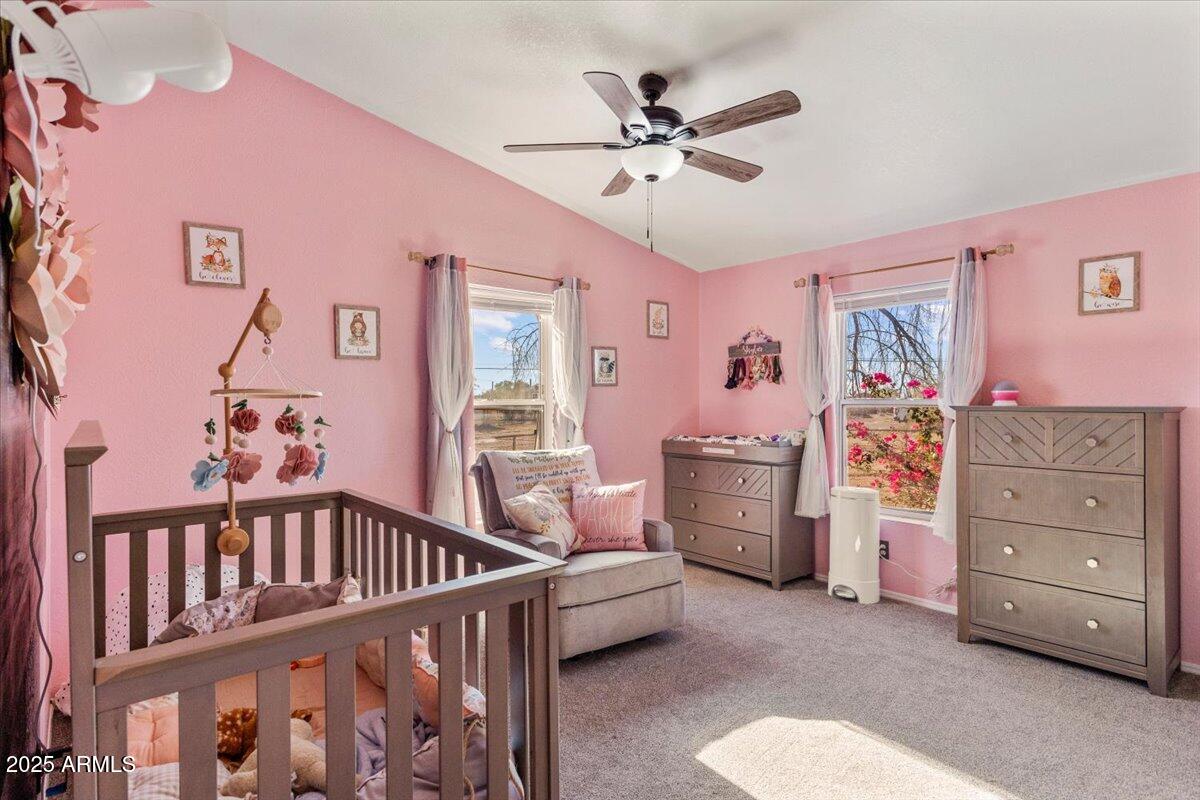 1926 East Junction Street Apache Junction, AZ 85119 - Photo 25 of 45 24-IMG_0009