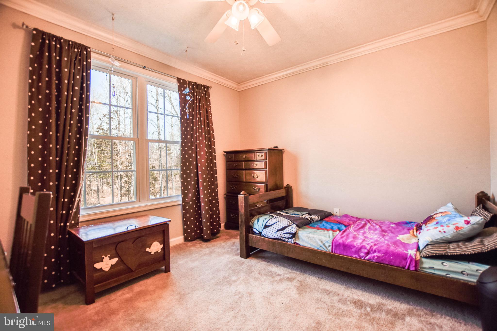 9166 Dunkard Church Road Rixeyville, VA 22737 - Photo 26 of 42