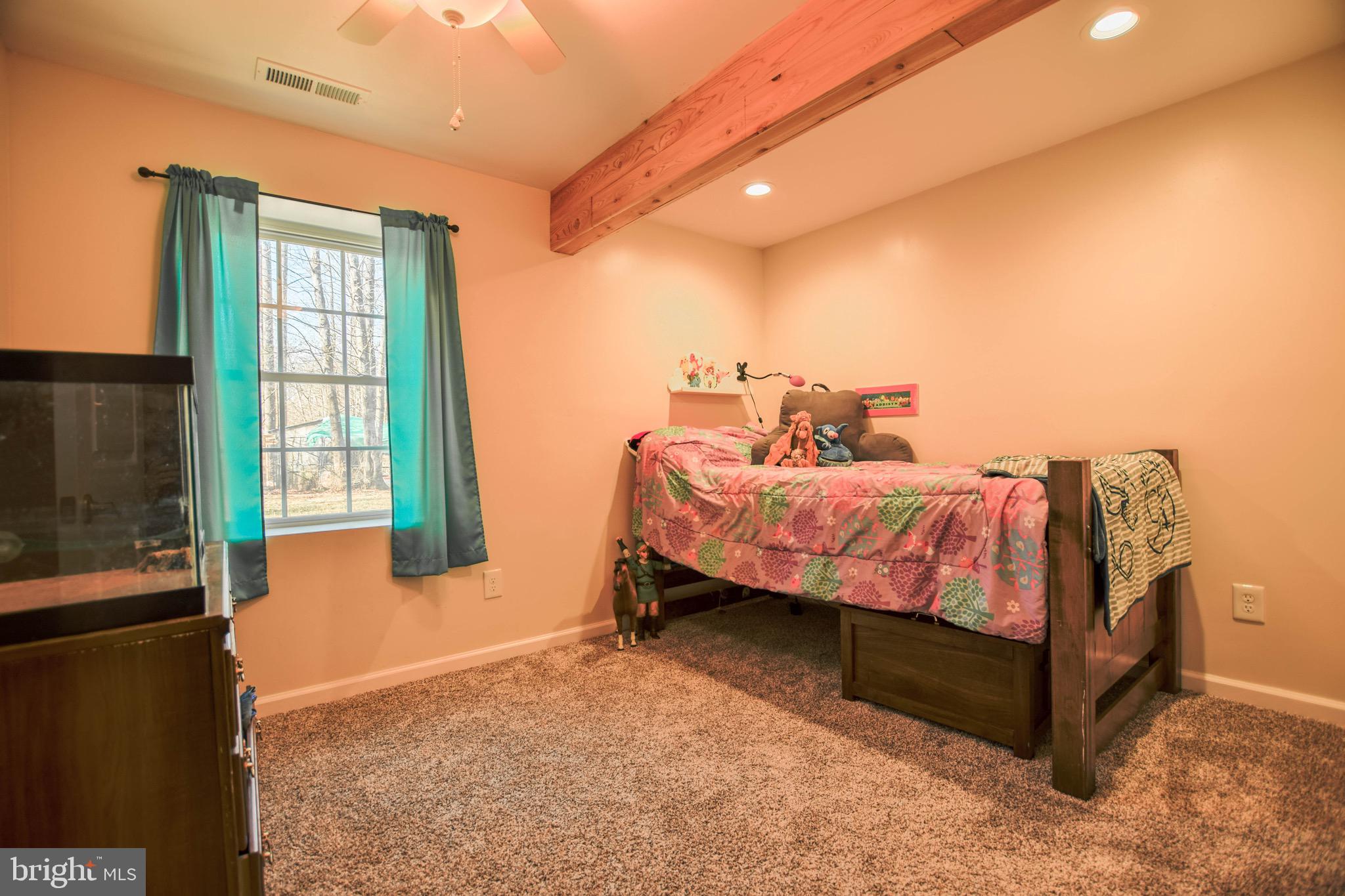 9166 Dunkard Church Road Rixeyville, VA 22737 - Photo 30 of 42