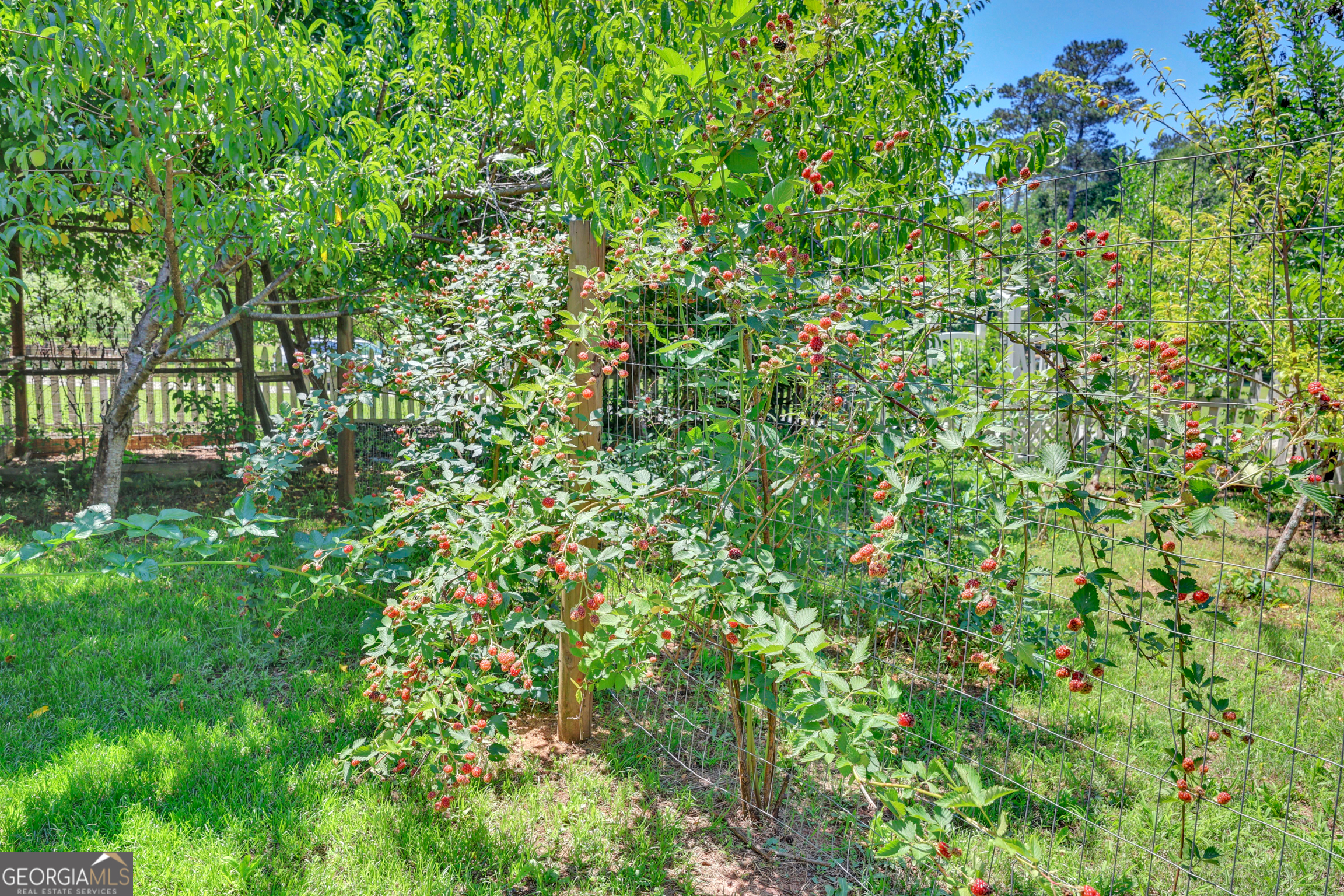 1700 Aqua Road Madison, GA 30650 - Photo 44 of 51