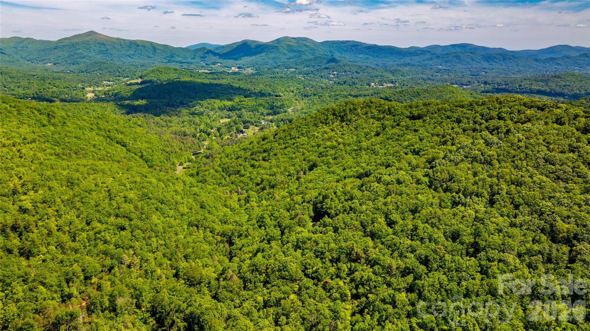 214 Ballard Creek Road Fairview, NC 28730 - Photo 8 of 18 a view of a lush green hillside and a houses