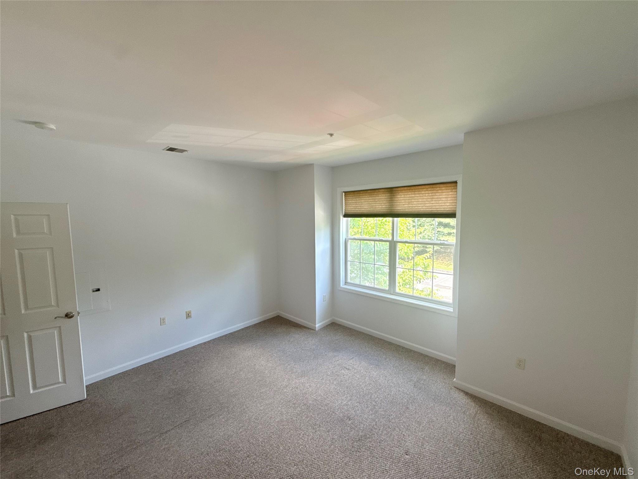 935 Tower Ridge Circle Middletown, NY 10941 - Photo 2 of 24 Carpeted interior space featuring a multi-pane window with a woven shade, white trim, and a paneled door
