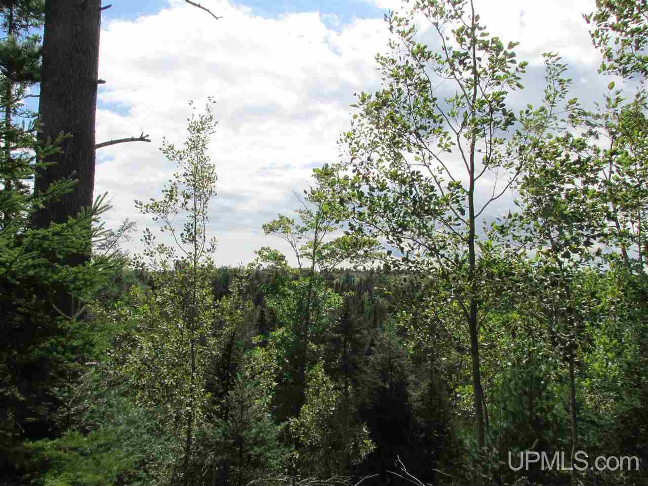 30.5 Rd Rapid River Gladstone, MI 49837 - Photo 3 of 7