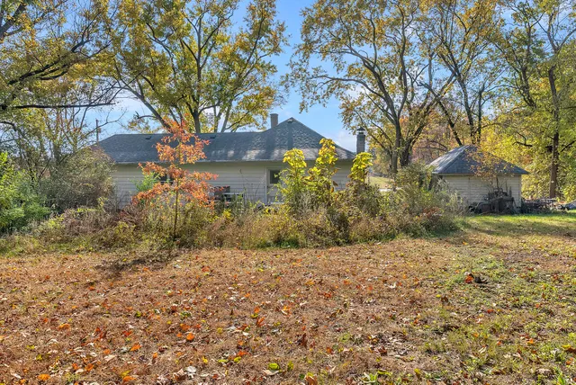 a view of a yard with trees