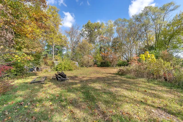 a view of a yard with trees