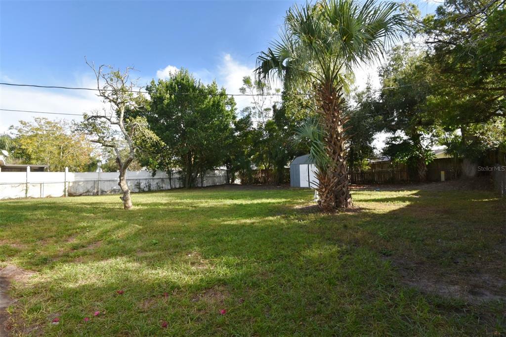 2148 Ridge Drive Winter Park, FL 32792 - Photo 29 of 33 a view of yard with tree and green space