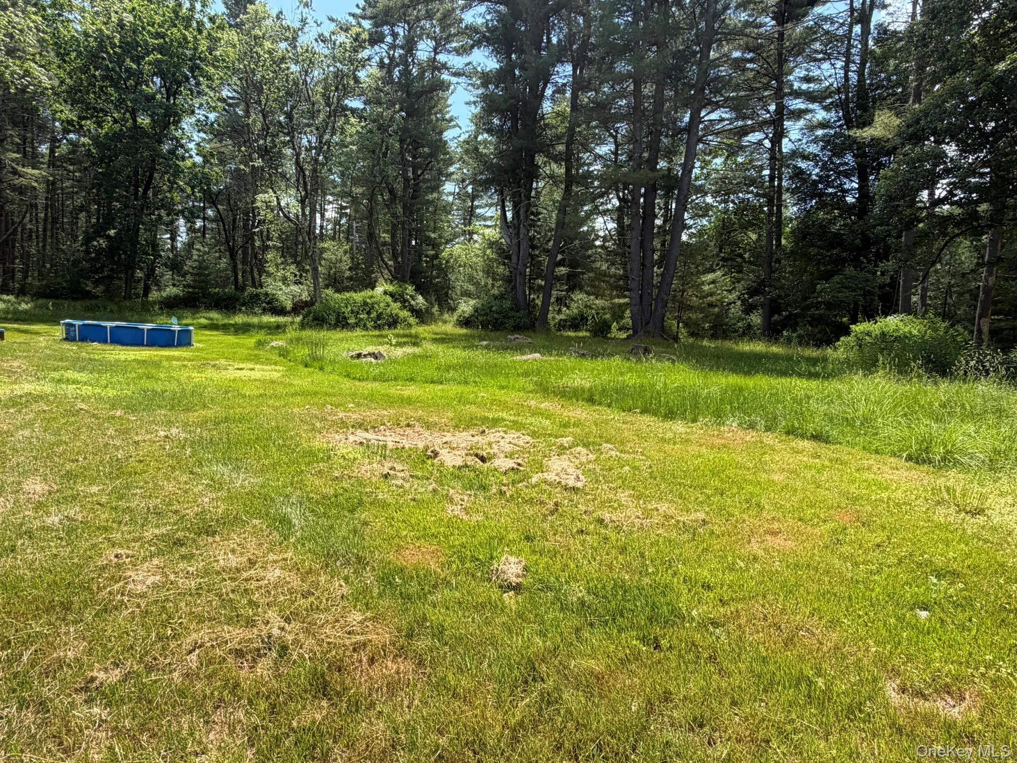 5 Steges Road Eldred, NY 12732 - Photo 6 of 19