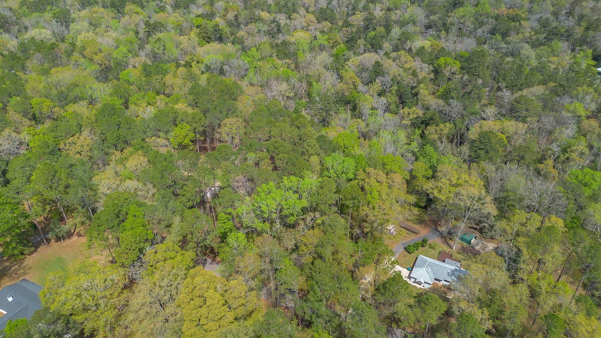 Timber Run Havana, FL 32333 - Photo 2 of 4