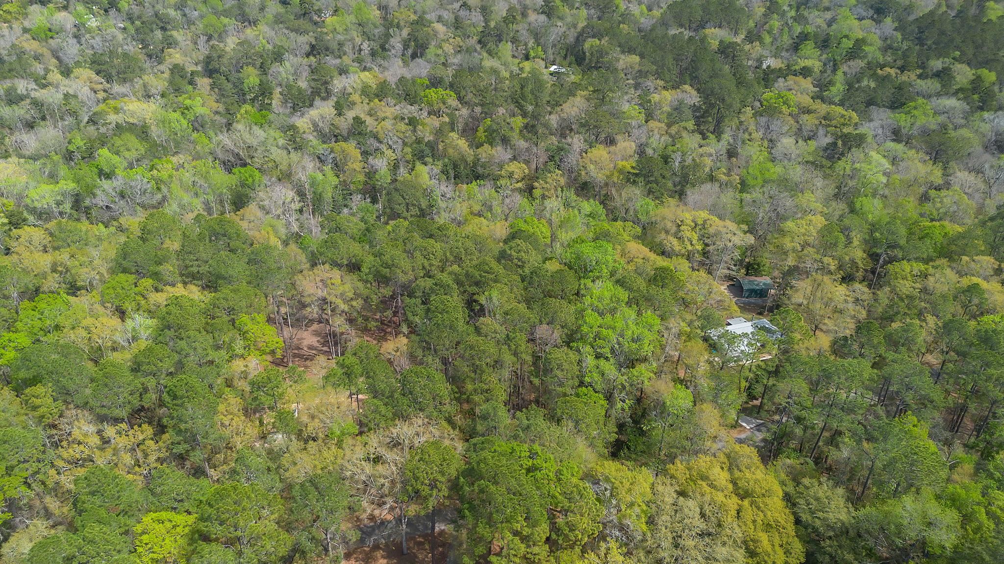 Timber Run Havana, FL 32333 - Photo 3 of 4