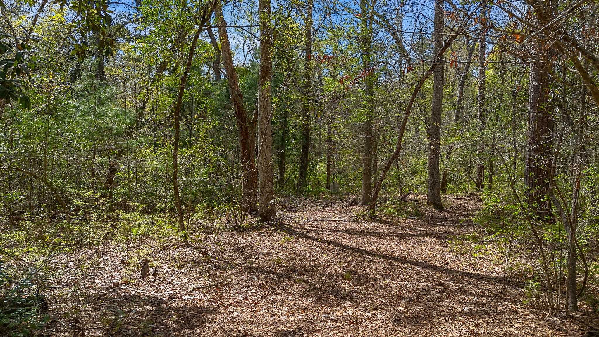 Timber Run Havana, FL 32333 - Photo 4 of 4