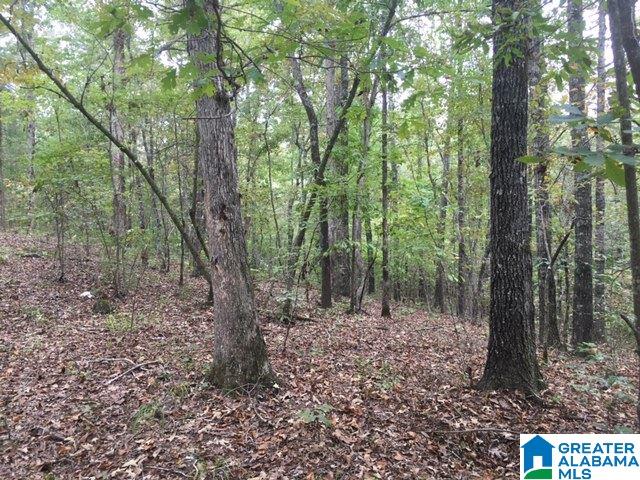 7101 Joinertown Road, Unit 1 Columbiana, AL 35051 - Photo 3 of 3