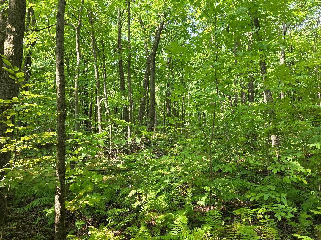 0 30th Street Cumberland, WI 54829 - Photo 3 of 9