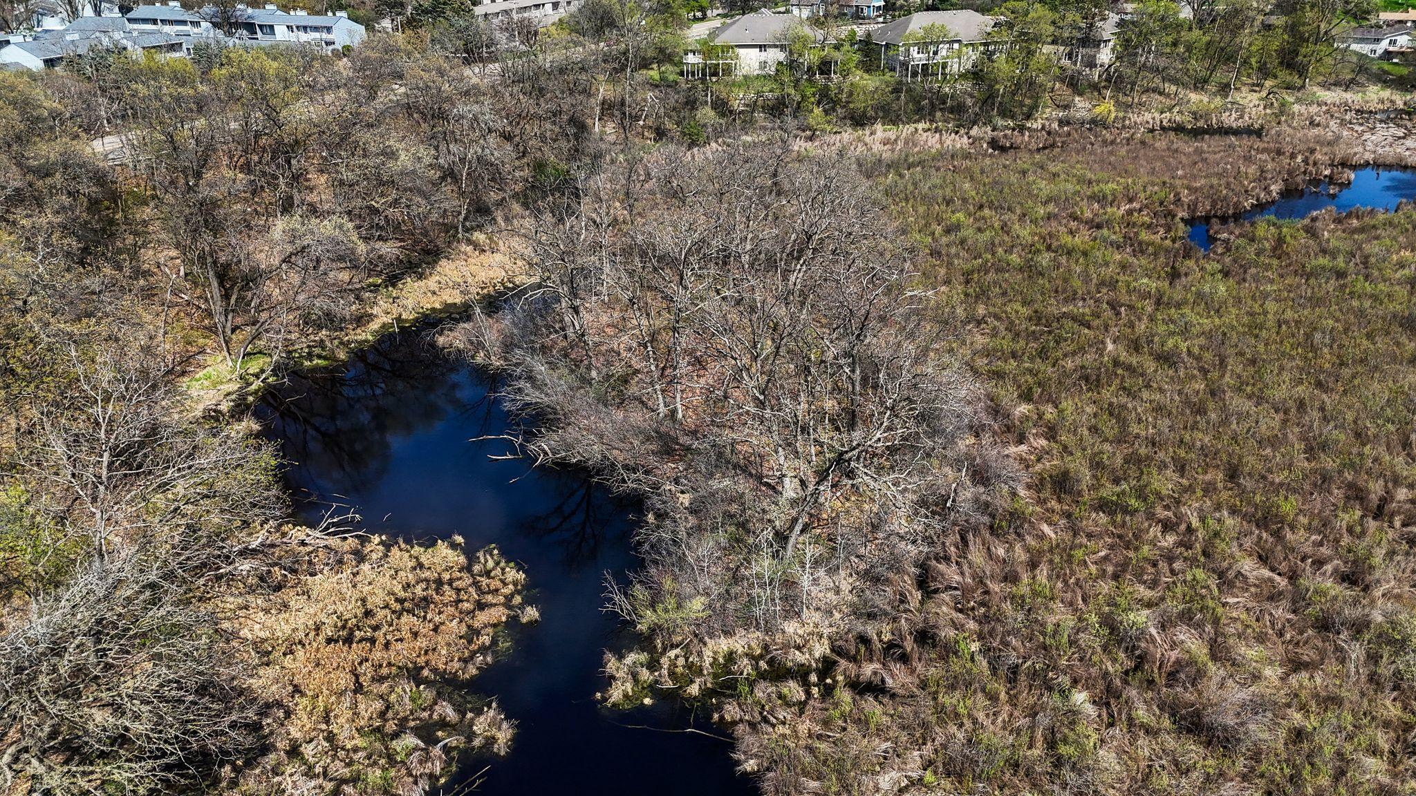 556 County Rd C West Roseville, MN 55113 - Photo 7 of 30