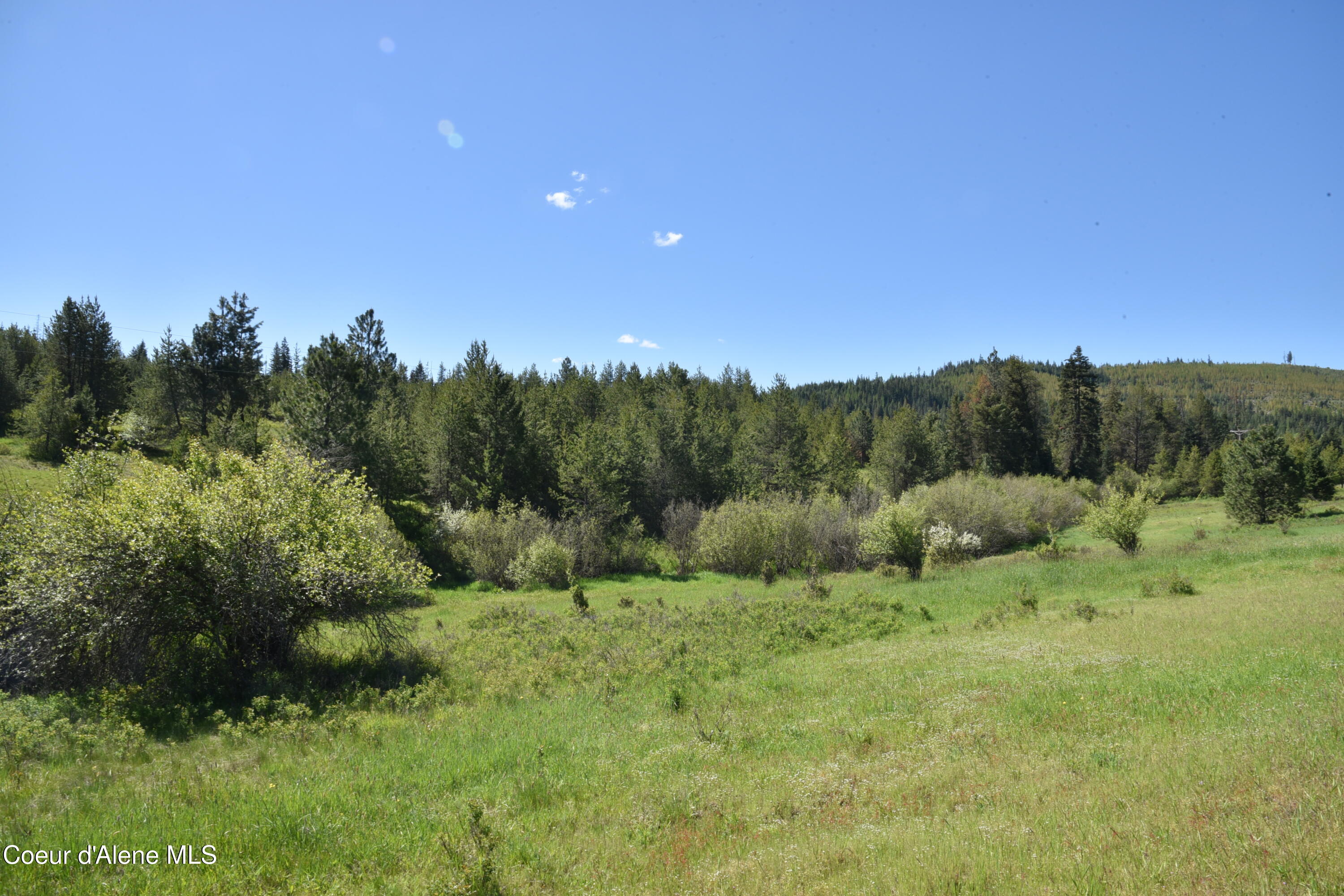 Nka Nka Tyson Creek Road St. Maries, ID 83861 - Photo 13 of 26 15
