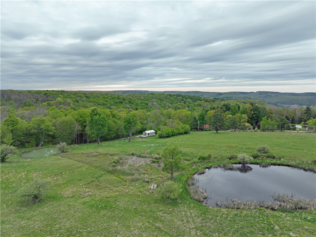 839 Call Hill Road Hartsville, NY 14843 - Photo 16 of 19