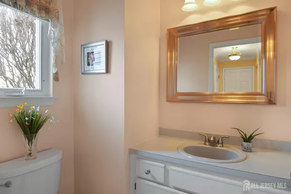 a bathroom with a sink a mirror and a potted plant