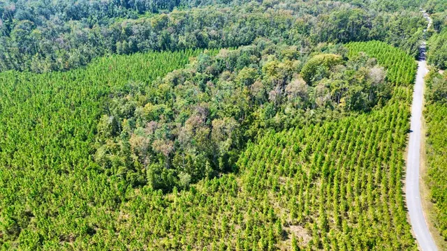 $175,000 | Lot 2 Southwest Wonderwood Street, Greenville, FL 32331