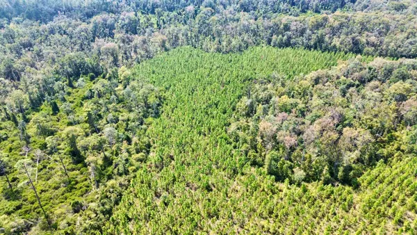 $169,000 | Lot 2 Southwest Wonderwood Street, Greenville, FL 32331