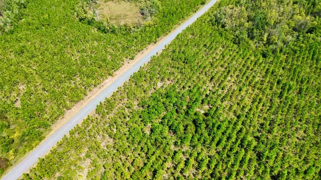 $169,000 | Lot 2 Southwest Wonderwood Street, Greenville, FL 32331