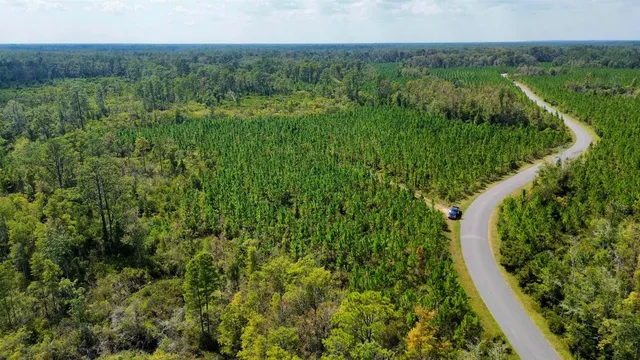 $169,000 | Lot 2 Southwest Wonderwood Street, Greenville, FL 32331
