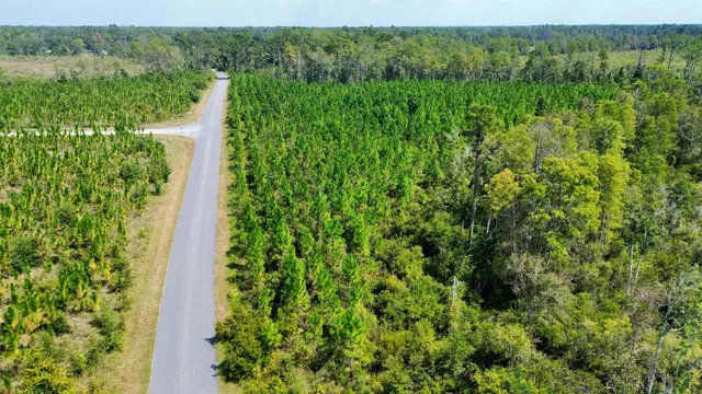 $169,000 | Lot 2 Southwest Wonderwood Street, Greenville, FL 32331