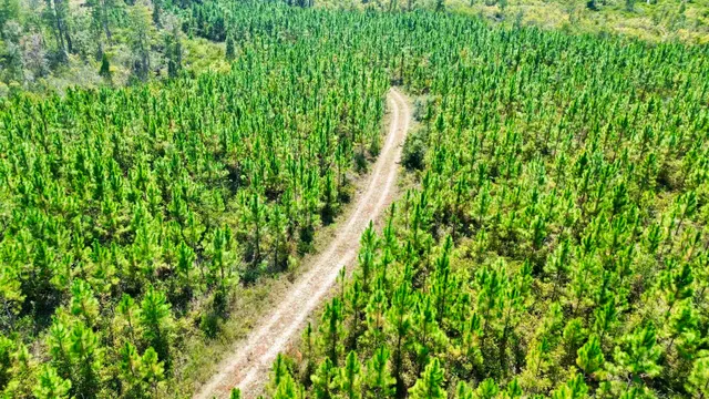 $169,000 | Lot 2 Southwest Wonderwood Street, Greenville, FL 32331