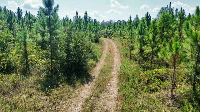$169,000 | Lot 2 Southwest Wonderwood Street, Greenville, FL 32331