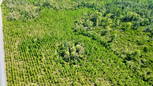 $169,000 | Lot 2 Southwest Wonderwood Street, Greenville, FL 32331