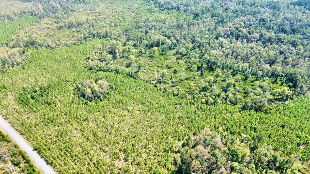 $169,000 | Lot 2 Southwest Wonderwood Street, Greenville, FL 32331