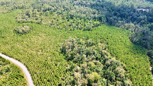 $169,000 | Lot 2 Southwest Wonderwood Street, Greenville, FL 32331