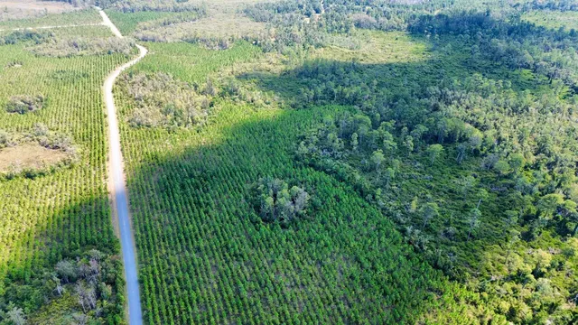 $169,000 | Lot 2 Southwest Wonderwood Street, Greenville, FL 32331