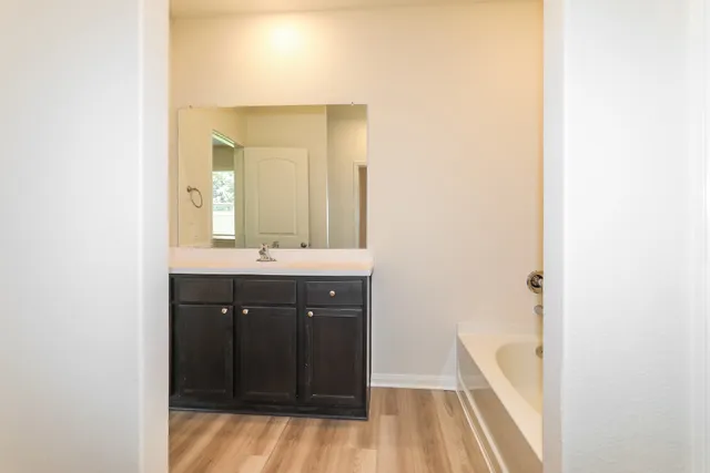 a bathroom with a sink and a mirror