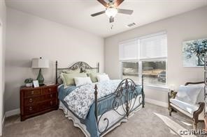 10530 Stony Blf Drive, Unit 106 Ashland, VA 23005 - Photo 15 of 18