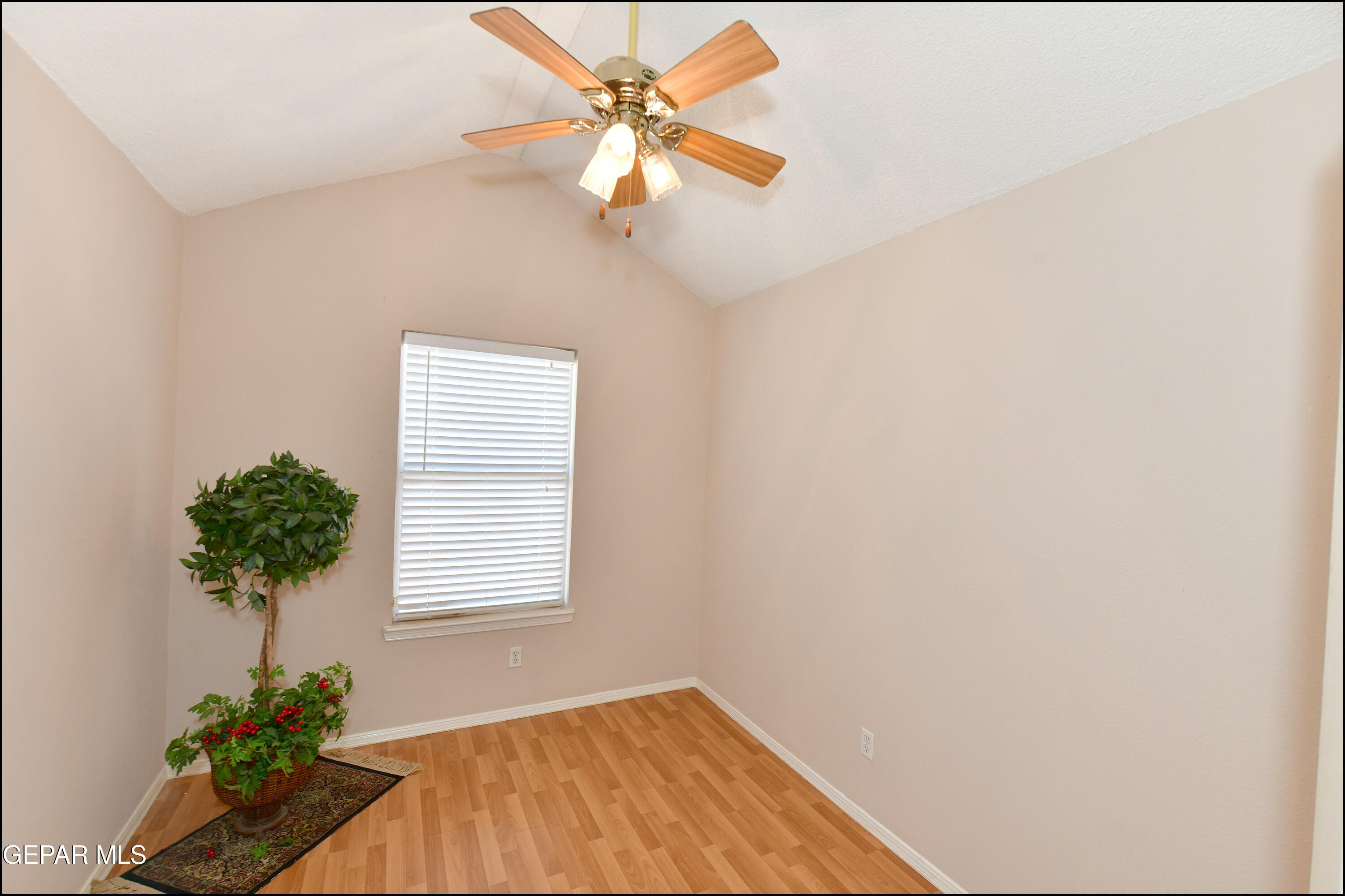 12232 Tierra Rosa Way El Paso, TX 79938 - Photo 19 of 34 an empty room with windows and flower pot